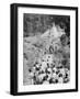 Procession to a Buddhist Temple, Diyatalawa, Ceylon, C1945-null-Framed Giclee Print