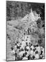 Procession to a Buddhist Temple, Diyatalawa, Ceylon, C1945-null-Mounted Giclee Print