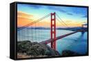 Canvas Black