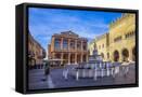 Framed Canvas