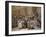 Proclamation at Convention in Paris of Abolition of Slavery-Nicolas Andre Monsiau-Framed Giclee Print