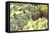 Produce Stand I-Maureen Love-Framed Stretched Canvas