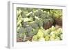 Produce Stand I-Maureen Love-Framed Photographic Print