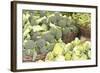 Produce Stand I-Maureen Love-Framed Photographic Print