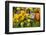 Produce Stand in Aix-En-Provence-Jon Hicks-Framed Photographic Print