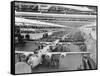 Production Line of B-24 Liberators-null-Framed Stretched Canvas