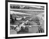 Production Line of B-24 Liberators-null-Framed Photographic Print