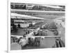 Production Line of B-24 Liberators-null-Framed Photographic Print