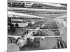 Production Line of B-24 Liberators-null-Mounted Photographic Print