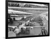 Production Line of B-24 Liberators-null-Framed Photographic Print