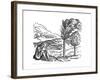 Production of Cocoa, 16th Century-null-Framed Giclee Print