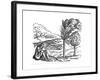 Production of Cocoa, 16th Century-null-Framed Giclee Print