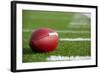 Professional American Football on the Field-33ft-Framed Photographic Print