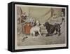 Professional Jealousy-William Henry Hamilton Trood-Framed Stretched Canvas