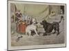 Professional Jealousy-William Henry Hamilton Trood-Mounted Giclee Print