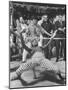 Professional Limbo Dancer Performing with Ease-Ralph Crane-Mounted Photographic Print
