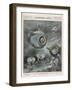 Professor Beebe in His Bathysphere 1000 Metres Below the Surface of the Atlantic Ocean-Aldo Molinari-Framed Photographic Print