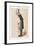 Professor Sir Richard Owen, Frs, Kcb, Naturalist, 1873-Spy-Framed Giclee Print