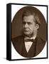 Professor Thomas Henry Huxley, 1880-Lock & Whitfield-Framed Stretched Canvas