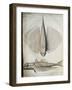 Profile and Back of Winged Fish-null-Framed Giclee Print