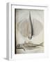 Profile and Back of Winged Fish-null-Framed Giclee Print