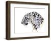 Profile (Arabian Leopard), 2008-Mark Adlington-Framed Giclee Print