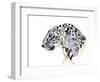 Profile (Arabian Leopard), 2008-Mark Adlington-Framed Giclee Print