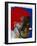 Profile Head-Graham Dean-Framed Giclee Print