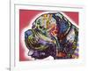 Profile Mastiff-Dean Russo-Framed Giclee Print