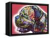 Profile Mastiff-Dean Russo-Framed Stretched Canvas