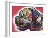 Profile Mastiff-Dean Russo-Framed Giclee Print