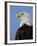 Profile of a Bald Eagle-Joe McDonald-Framed Photographic Print