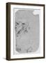 'Profile of a Bald Man to the Left', c1480 (1945)-Leonardo Da Vinci-Framed Giclee Print