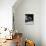 Profile of a Boxer-Henry Horenstein-Photographic Print displayed on a wall