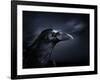 Profile of a Crow-Digital Zoo-Framed Photographic Print