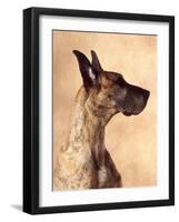 Profile of a Great Dane-Don Mason-Framed Photographic Print