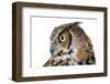 Profile of A Great Horned Owl on White-Mirage3-Framed Photographic Print