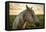 Profile of a Horse, Close-Up, with a Mini Horse in the Background-Jeffrey Schwartz-Framed Stretched Canvas