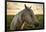 Profile of a Horse, Close-Up, with a Mini Horse in the Background-Jeffrey Schwartz-Framed Photographic Print