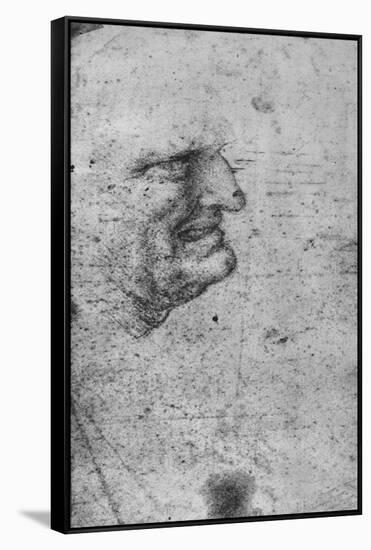 'Profile of a Man with Clenched Teeth', c1480 (1945)-Leonardo Da Vinci-Framed Stretched Canvas
