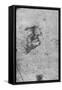 'Profile of a Man with Clenched Teeth', c1480 (1945)-Leonardo Da Vinci-Framed Stretched Canvas