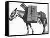 Profile of a Pack Mule-K.D. Swan-Framed Stretched Canvas