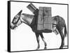 Profile of a Pack Mule-K.D. Swan-Framed Stretched Canvas