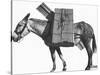 Profile of a Pack Mule-K.D. Swan-Stretched Canvas