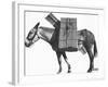 Profile of a Pack Mule-K.D. Swan-Framed Photographic Print