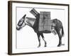 Profile of a Pack Mule-K.D. Swan-Framed Photographic Print