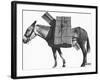 Profile of a Pack Mule-K.D. Swan-Framed Photographic Print