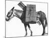 Profile of a Pack Mule-K.D. Swan-Mounted Photographic Print