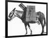 Profile of a Pack Mule-K.D. Swan-Framed Photographic Print