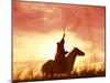 Profile of a Stockman on a Horse Against the Sunset, Queensland, Australia, Pacific-Mark Mawson-Mounted Photographic Print